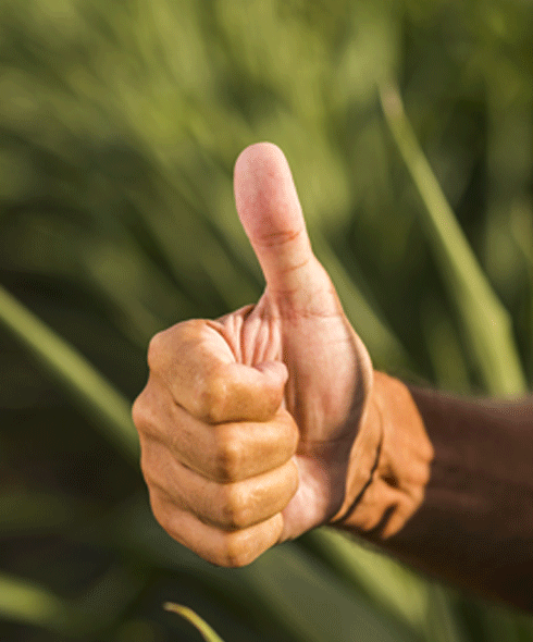 beneficios-y-ventajas-ecosistem